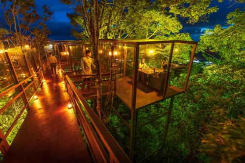 Costa Rica’s Nine-Course Meal in the Sky: A Culinary Journey Above the Clouds